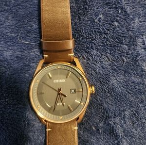 Citizen Mens Echo Drive watch